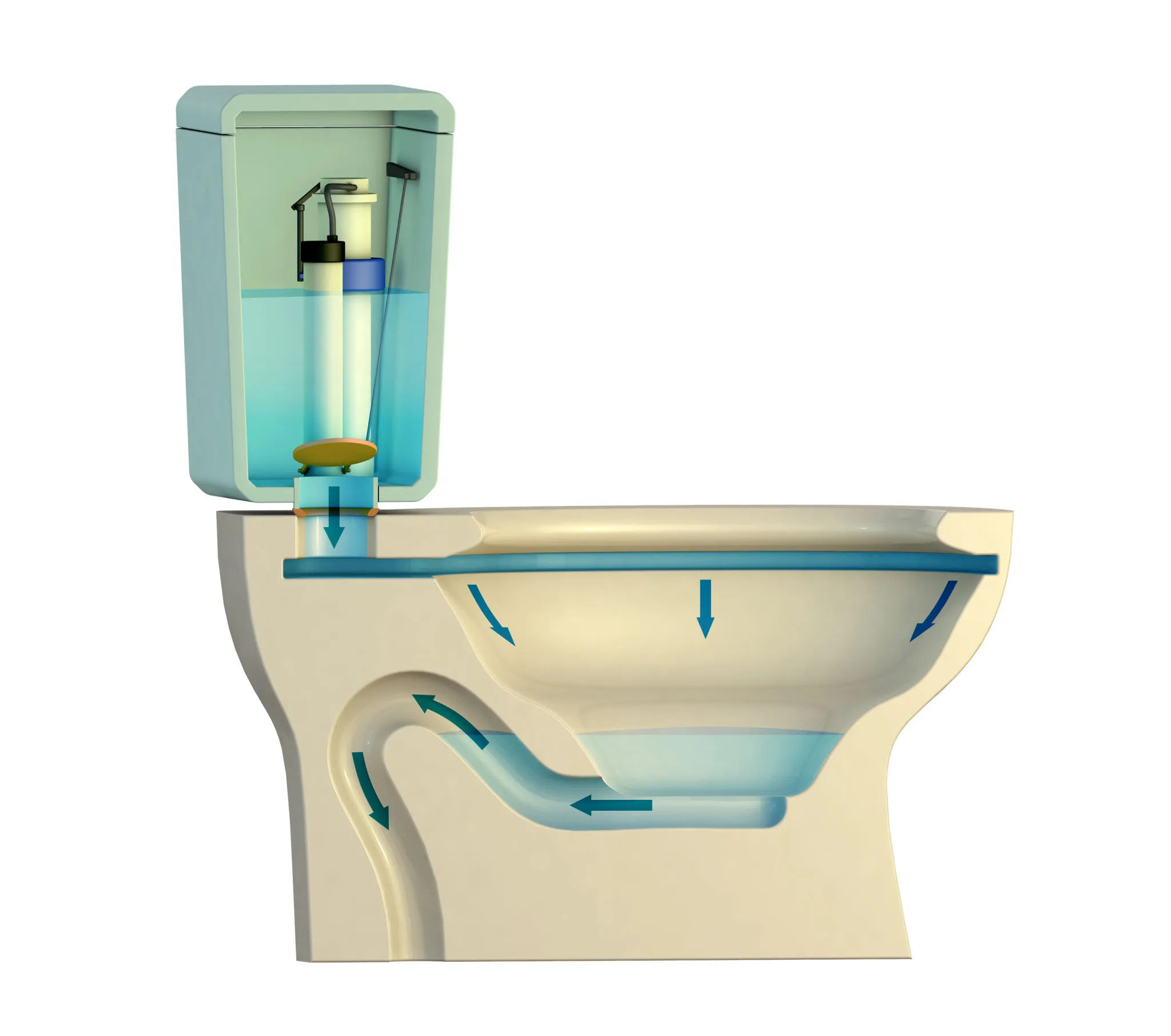 Parts of a Toilet Explained (Names, Functions & Diagram Guide)